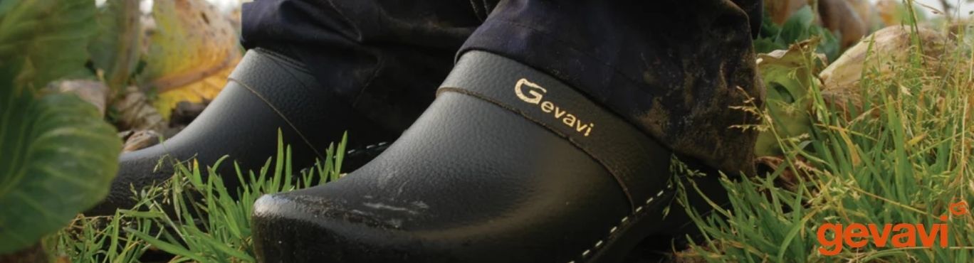 Gevavi 