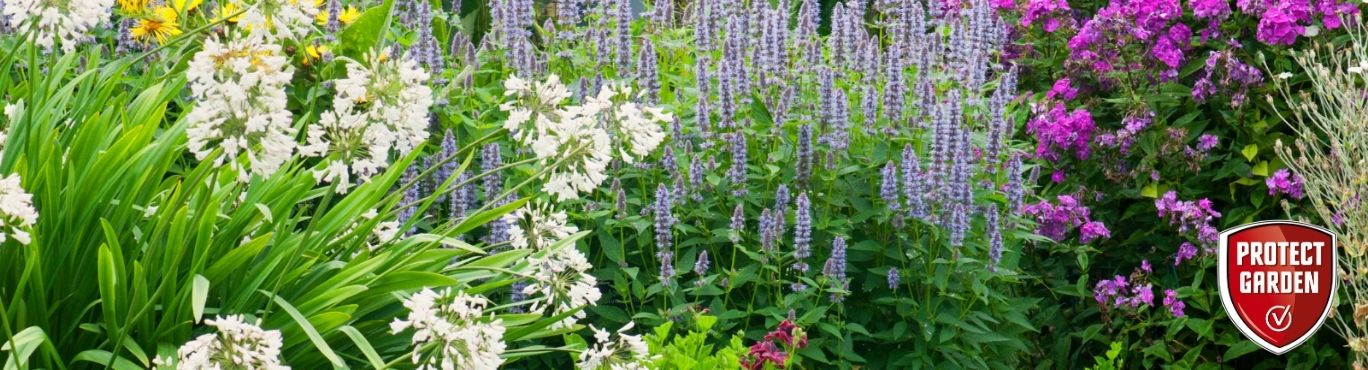 Protect Garden