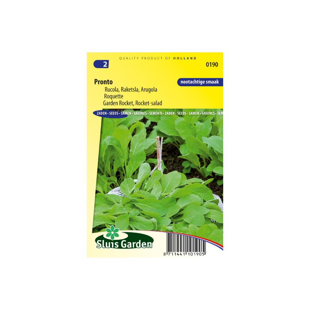 Rucola Eruca sativa Pronto