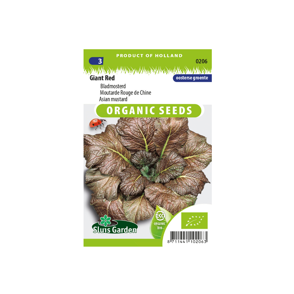 Bladmosterd Giant Red BIO