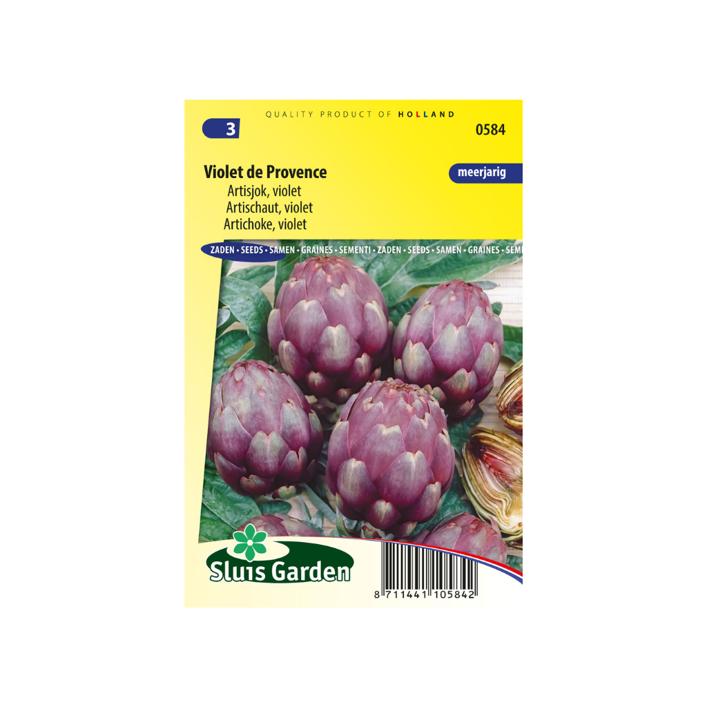 Artisjok Violet de Provence