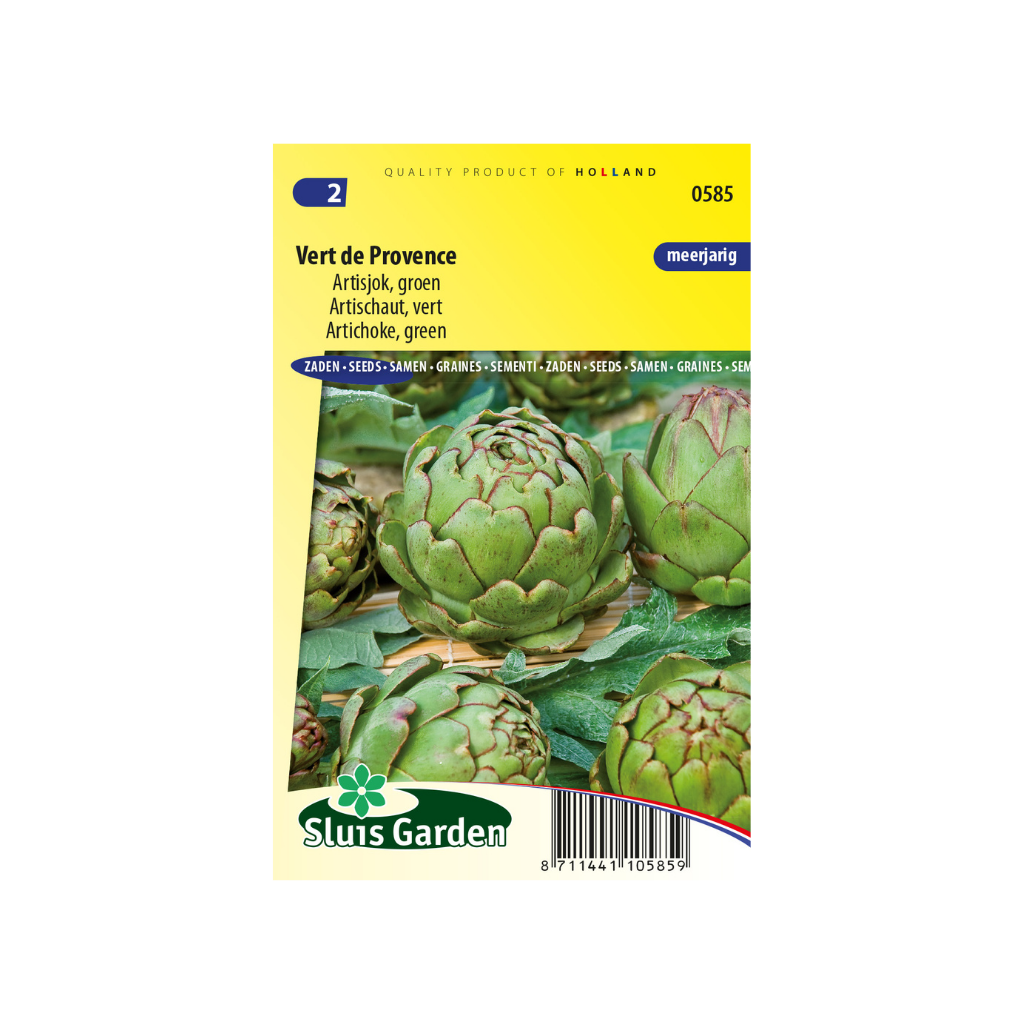 Artisjok Vert de Provence