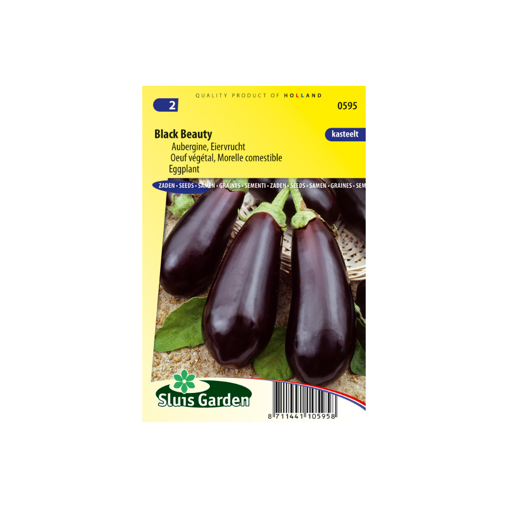 Aubergine Black Beauty