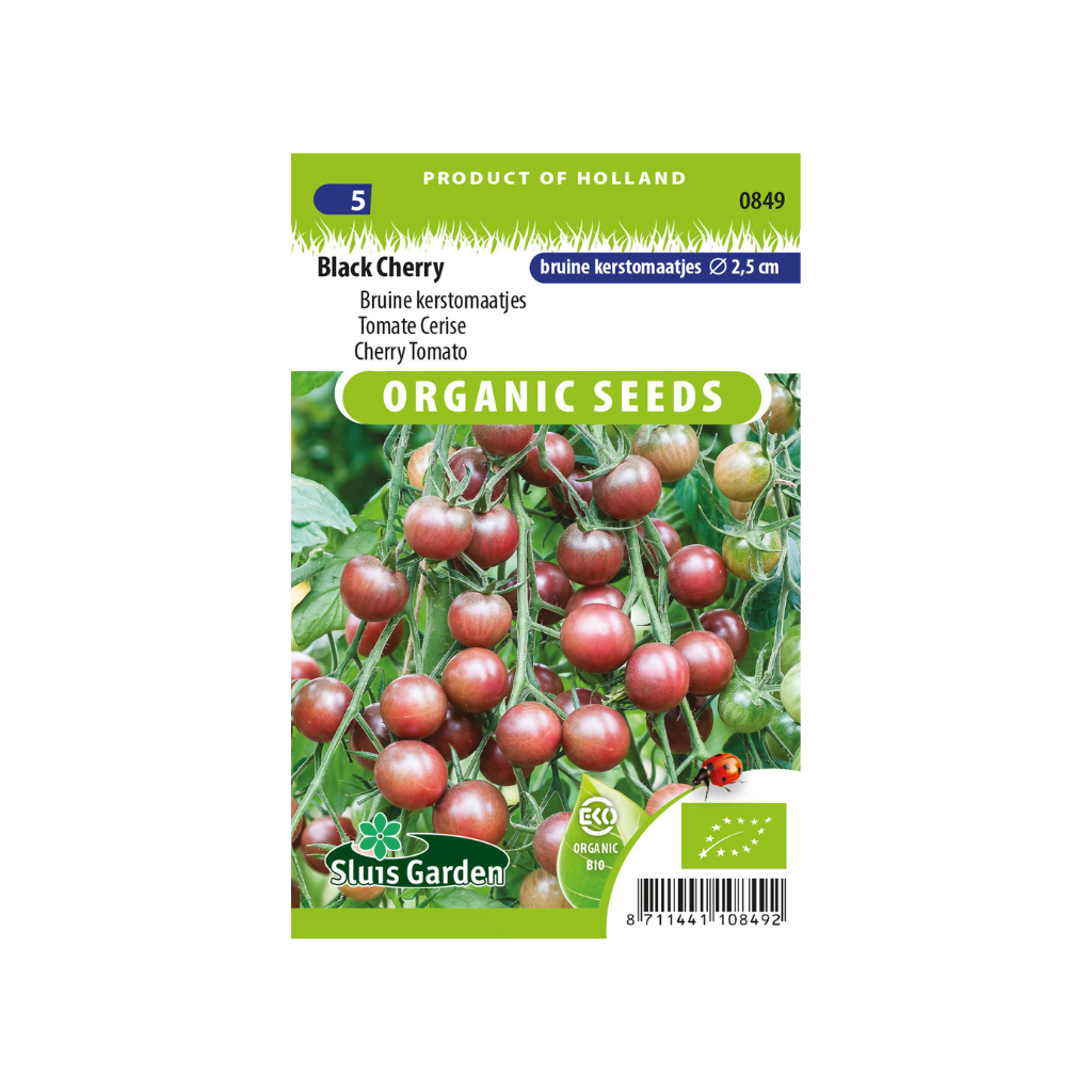 Tomaat Black Cherry BIO