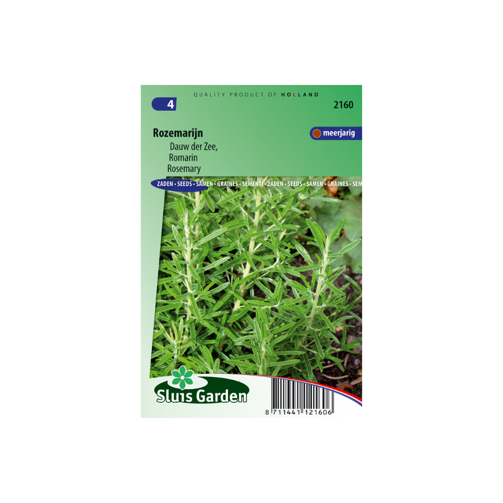 Rozemarijn Rosmarinus officinalis