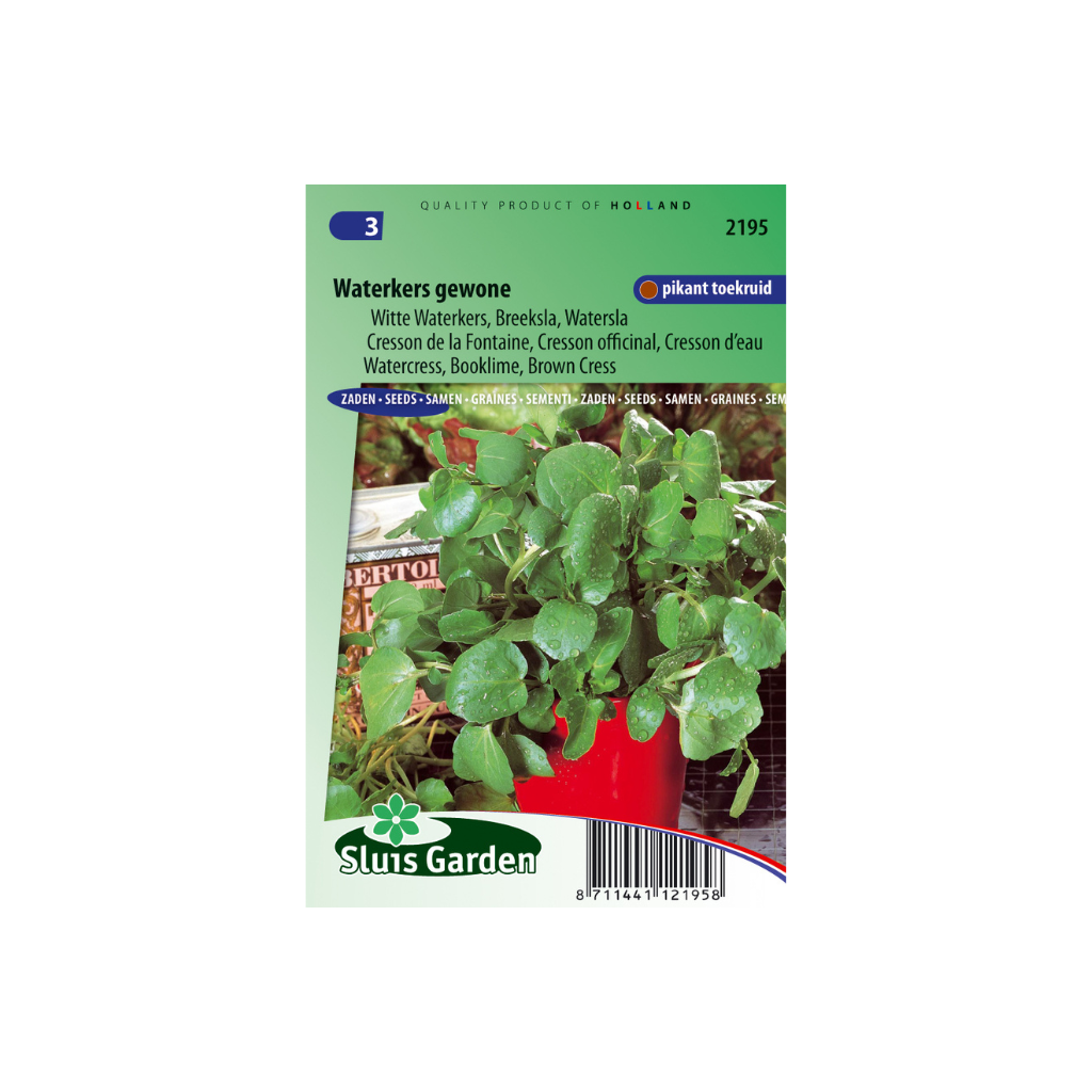 Waterkers Gewone Nasturtium officinale