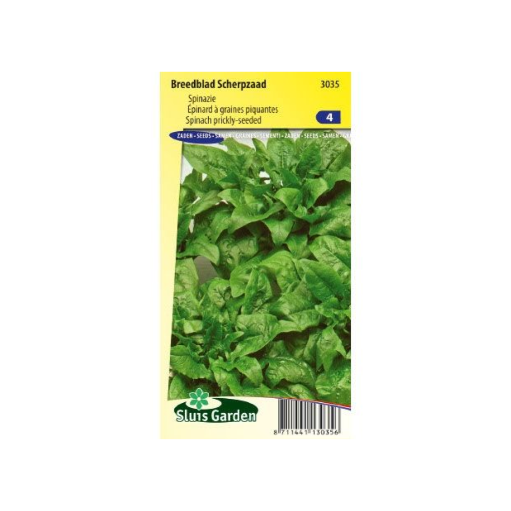 Spinazie Breedblad Scherpzaad 100g