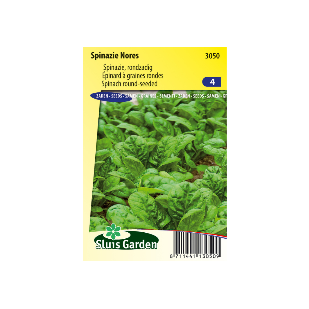 Spinazie Nores