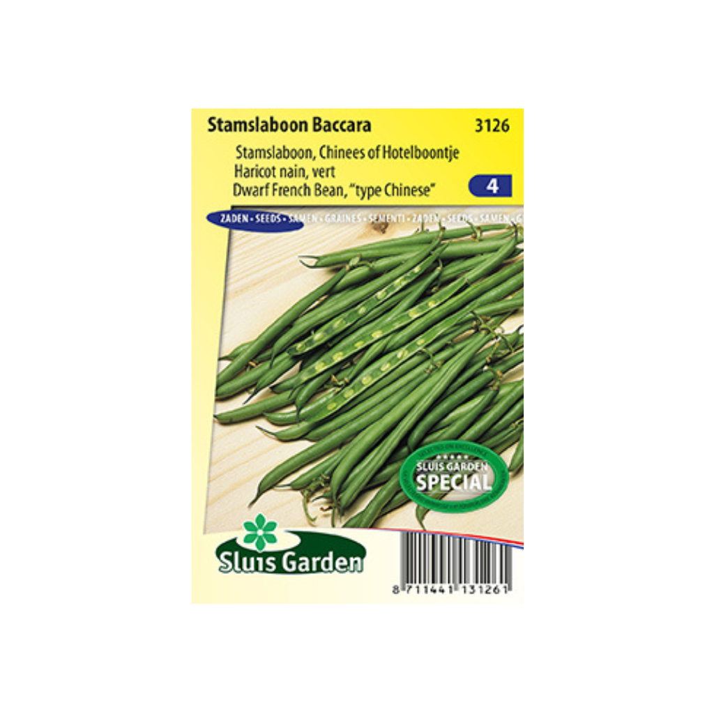 Stamslaboon Baccara