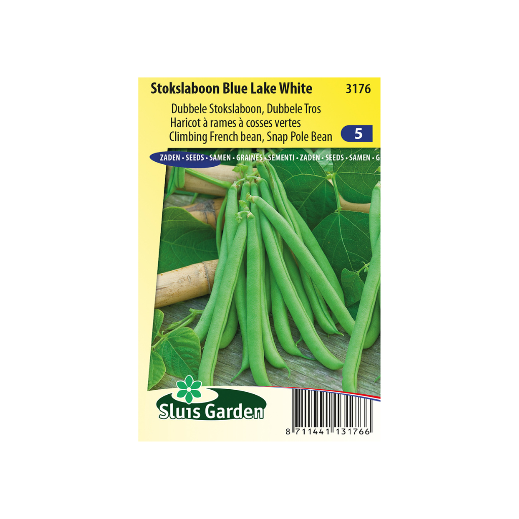 Stokslaboon Blue Lake white