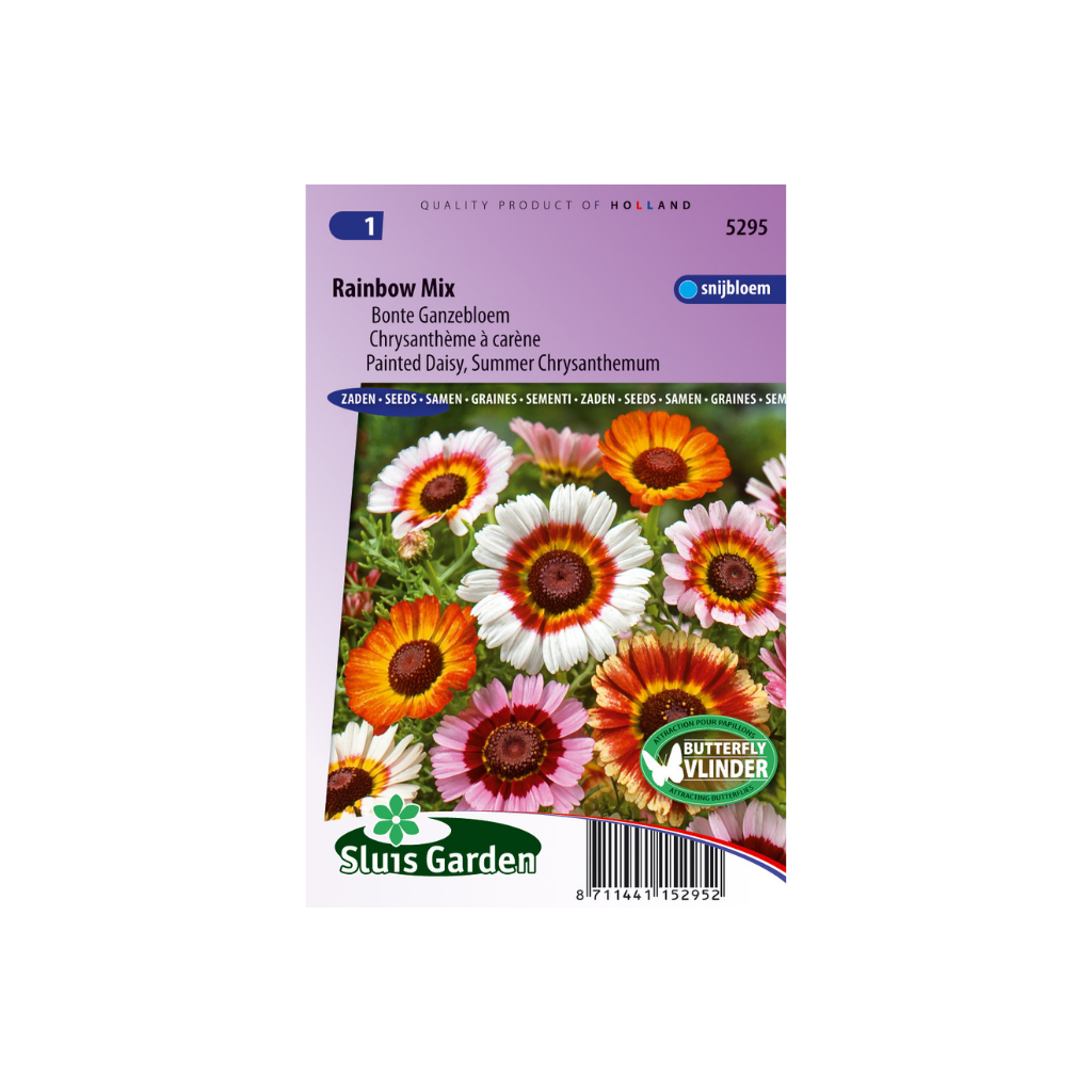 Chrysanthemum carinatum Rainbow Mixed