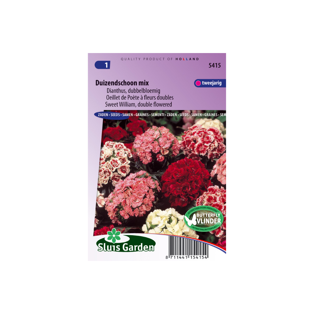 Dianthus barbatus Double Choice Mixed