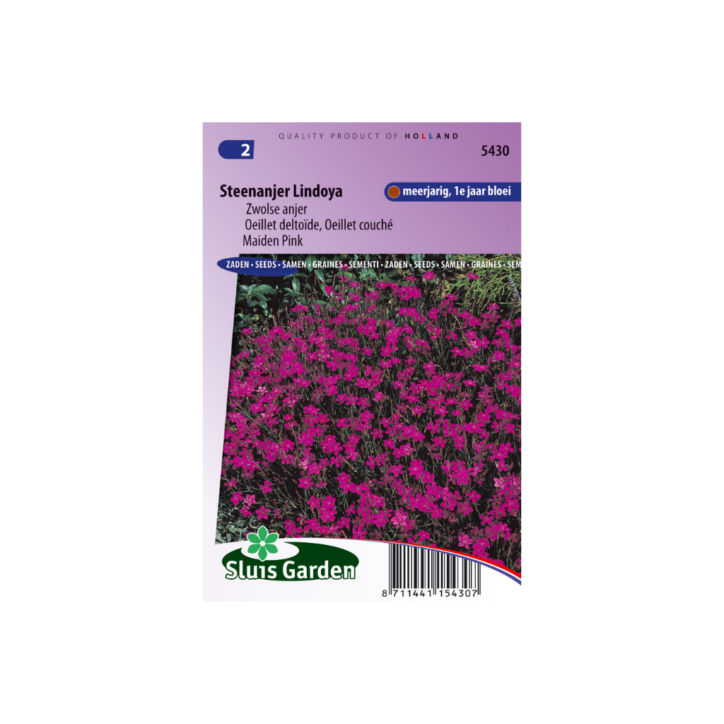 Dianthus delt. Erec. Lindoya (carm.red