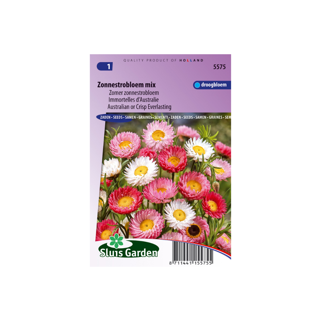 Helipterum roseum Giantfl. Mix
