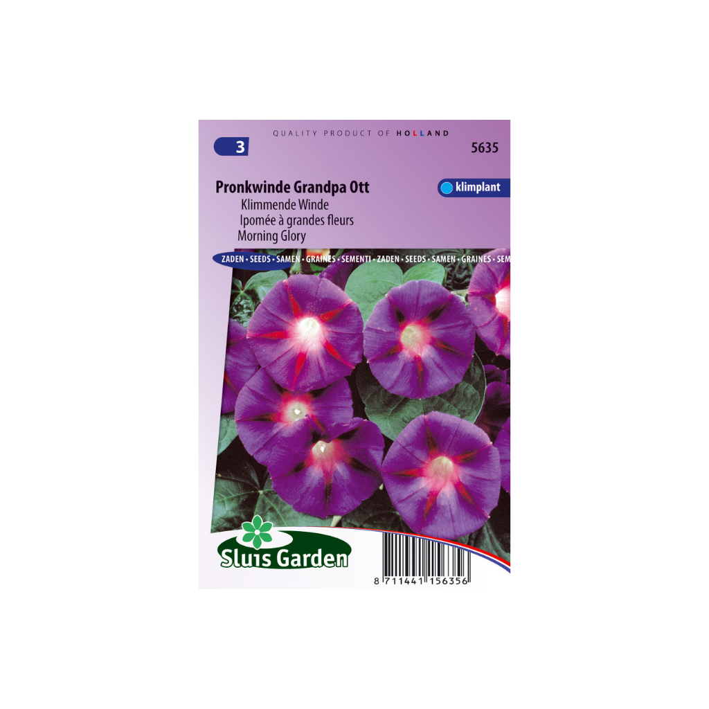 Ipomoea tricolor Grandpa Ott