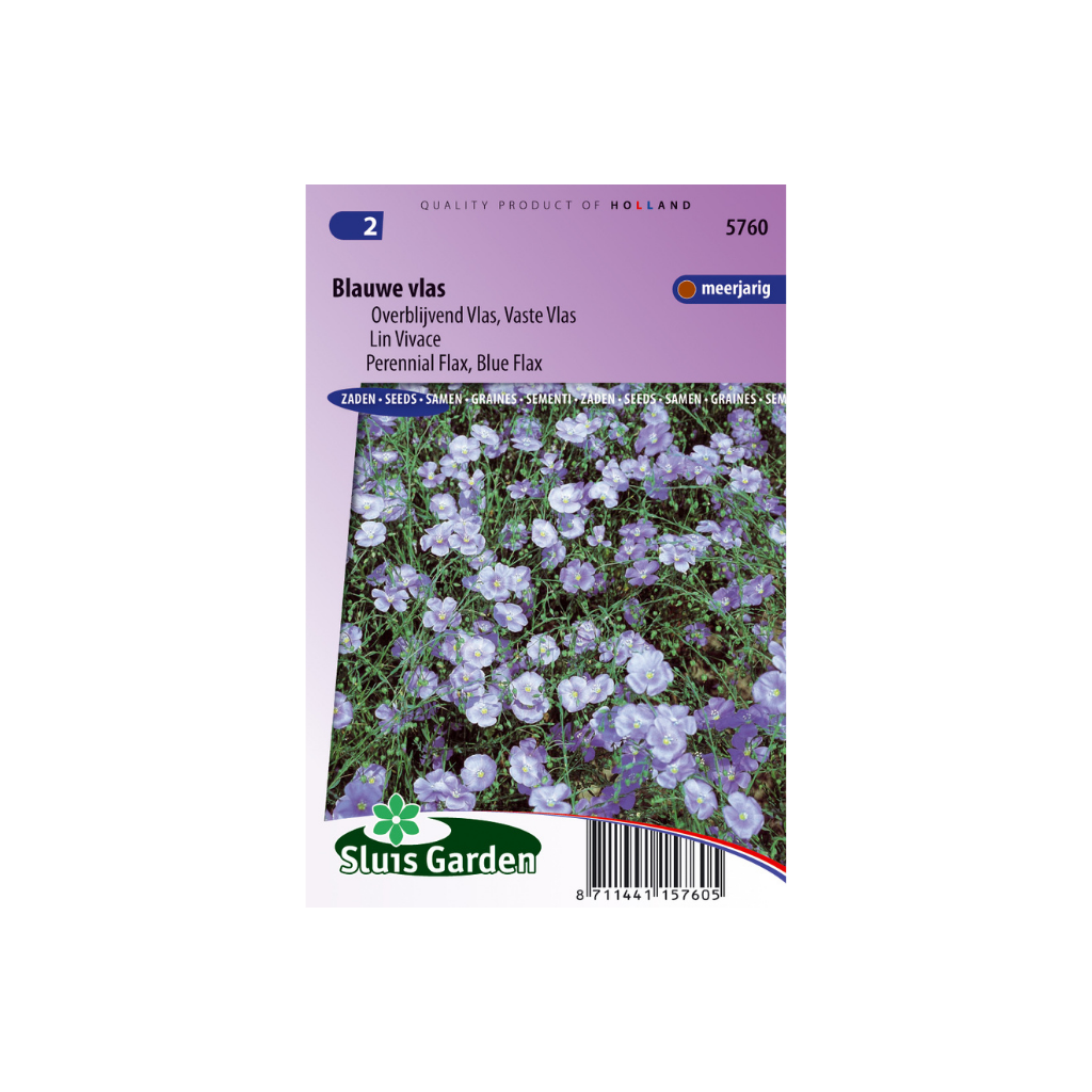Linum perenne Blue