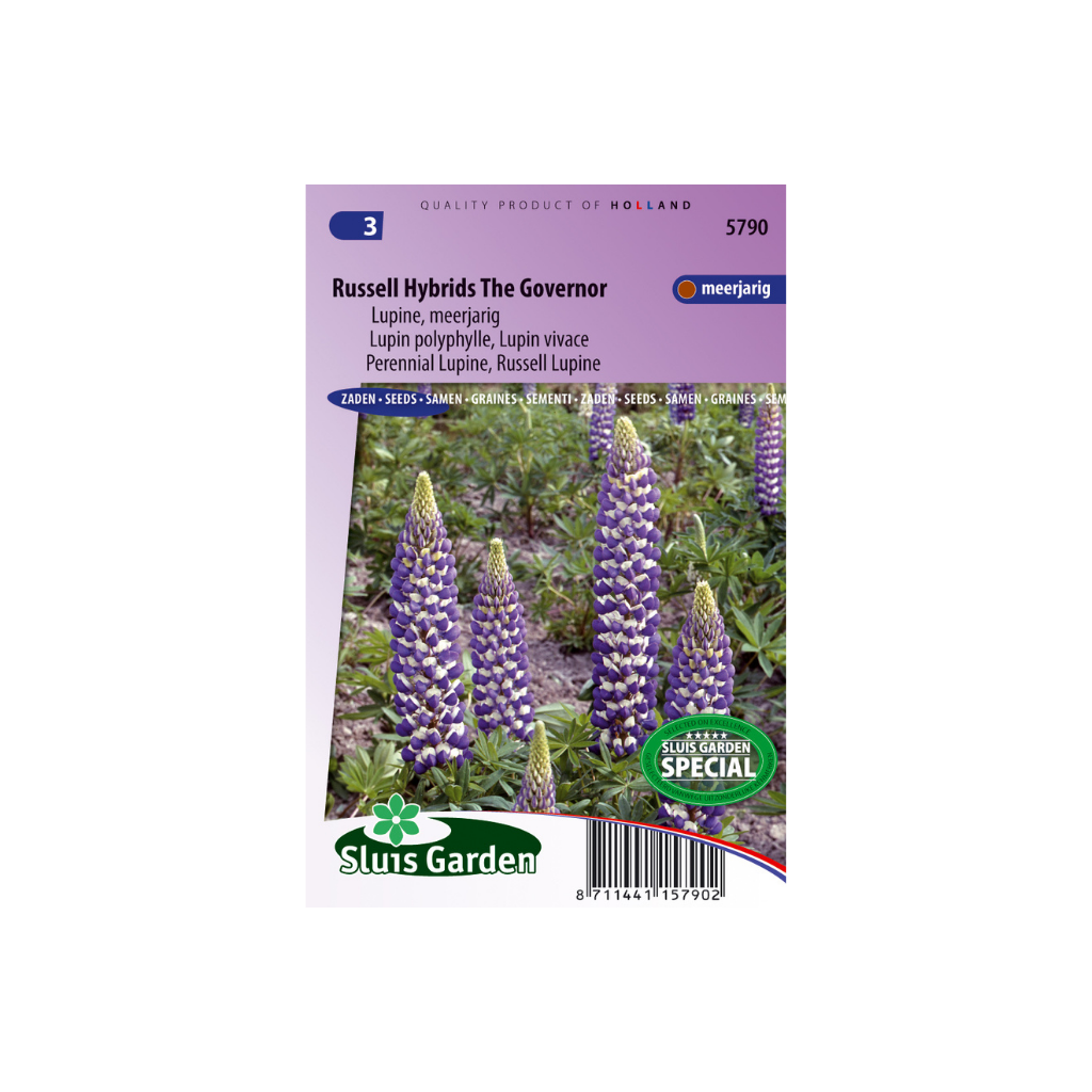 Lupinus polyp. Russel H. The Governer