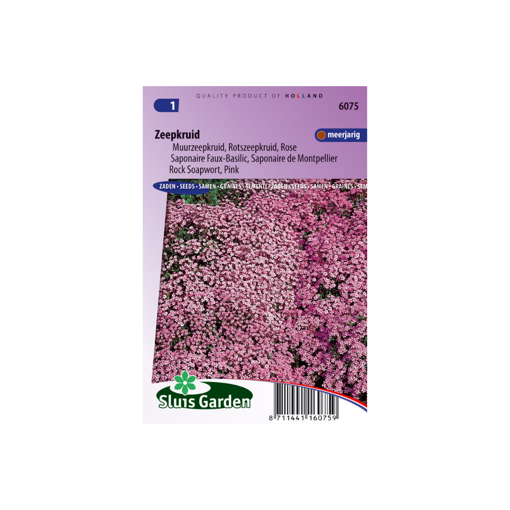 Saponaria ocymoides Rose-Pink