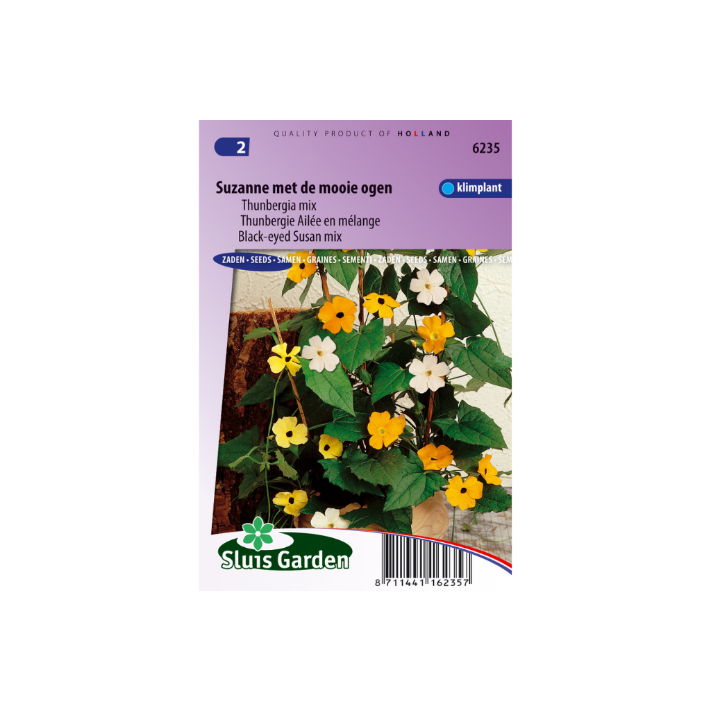 Thunbergia alata Mixed