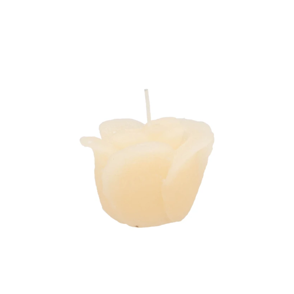 Rooskaars Ivory 8 x 7 cm
