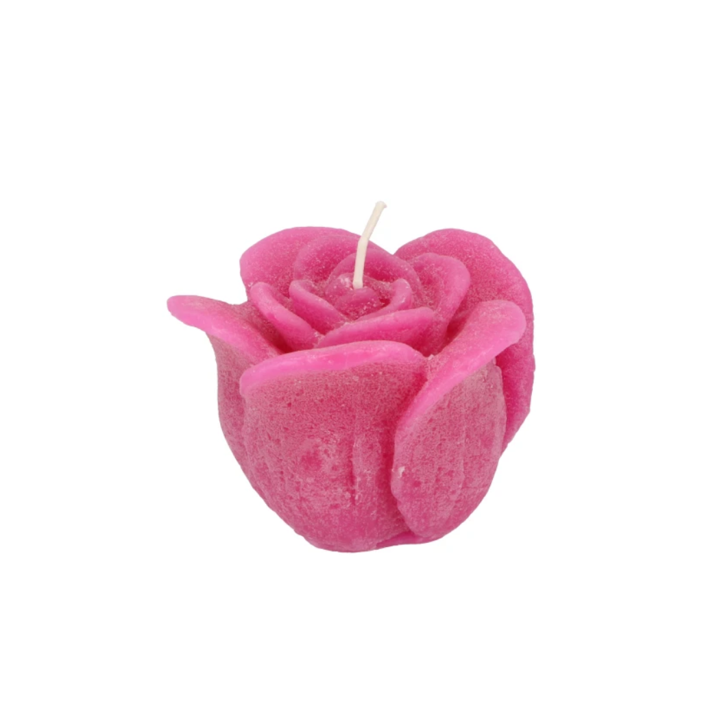 Rooskaars Fuchsia 8 x 7 cm