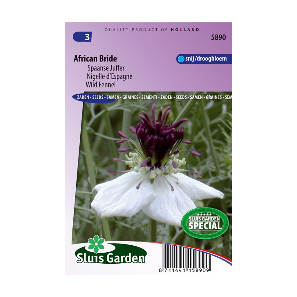 Nigella paillosa African Bride