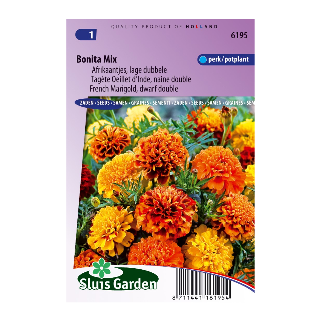 Tagetes patula nana Bonita Mixture