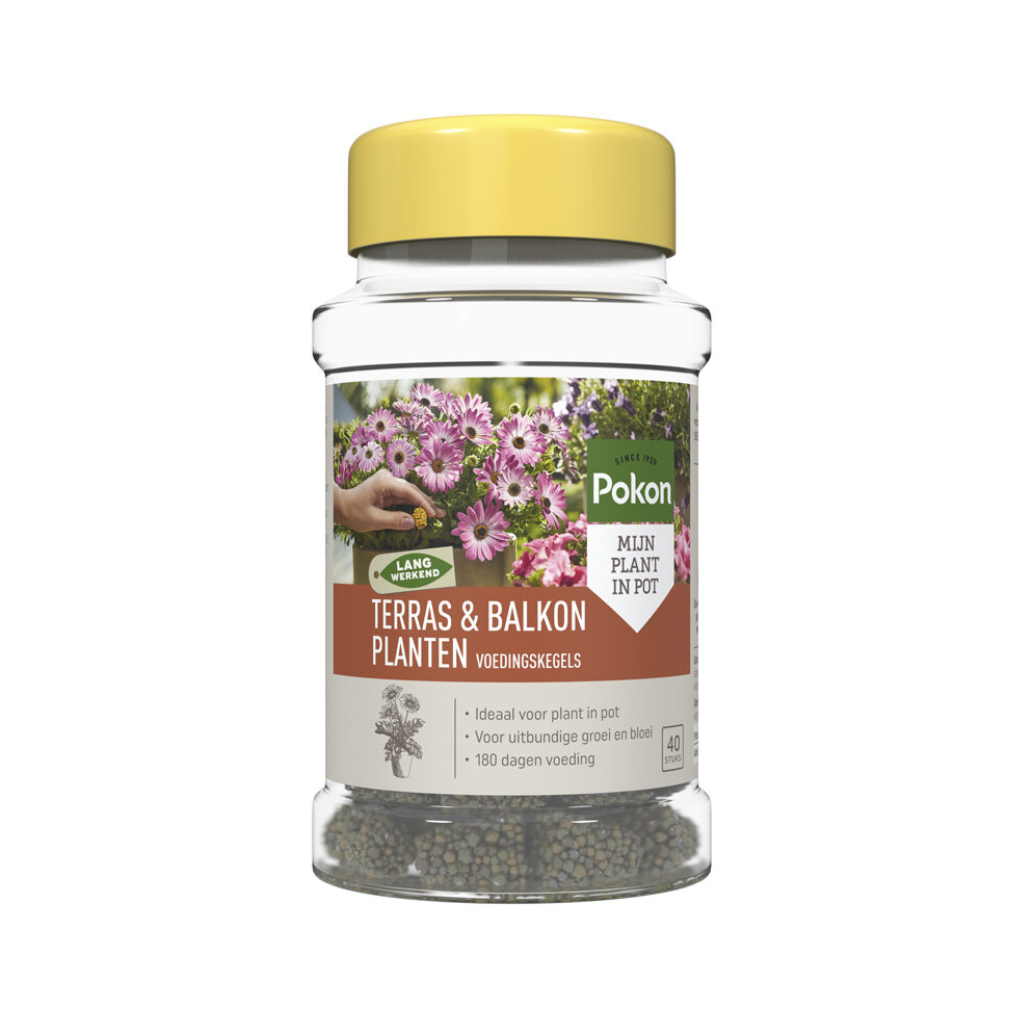 Pokon Terras & Balkon planten voedingskegels 40 stuks
