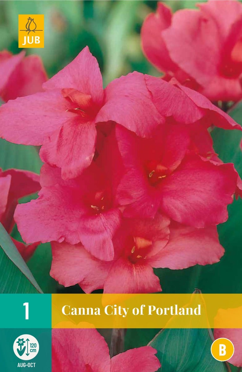 Canna City Of Portland