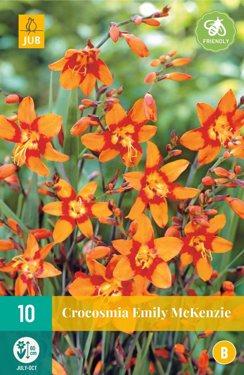 Crocosmia Emilie Mckenzie