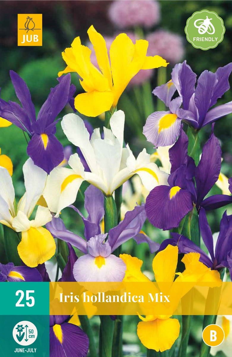 Iris Hollandica Mix