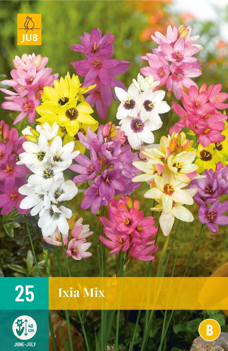 Ixia Mix