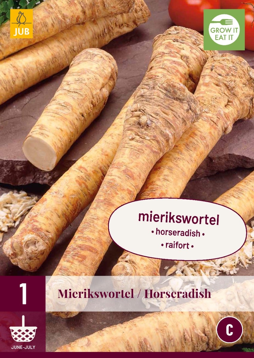 Armoracia Rusticana - Mierikswortel