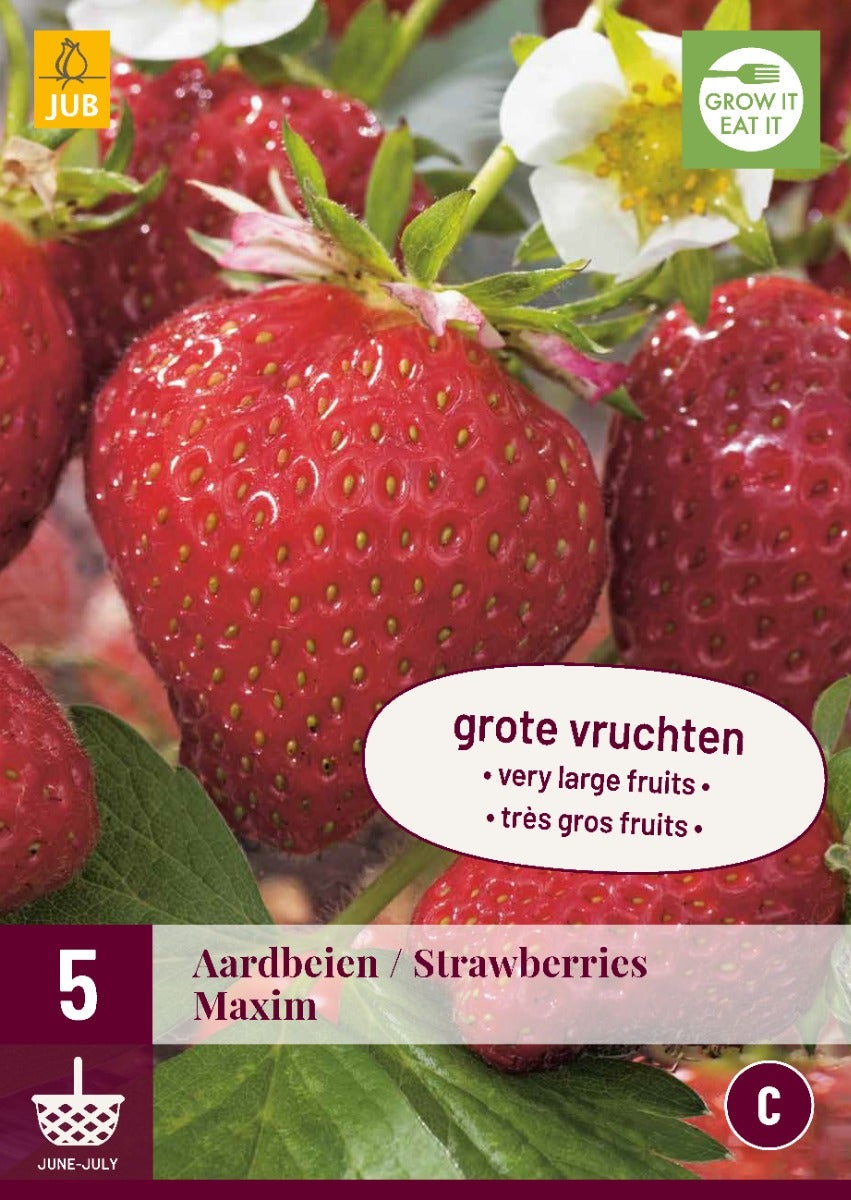 Fragaria Maxim