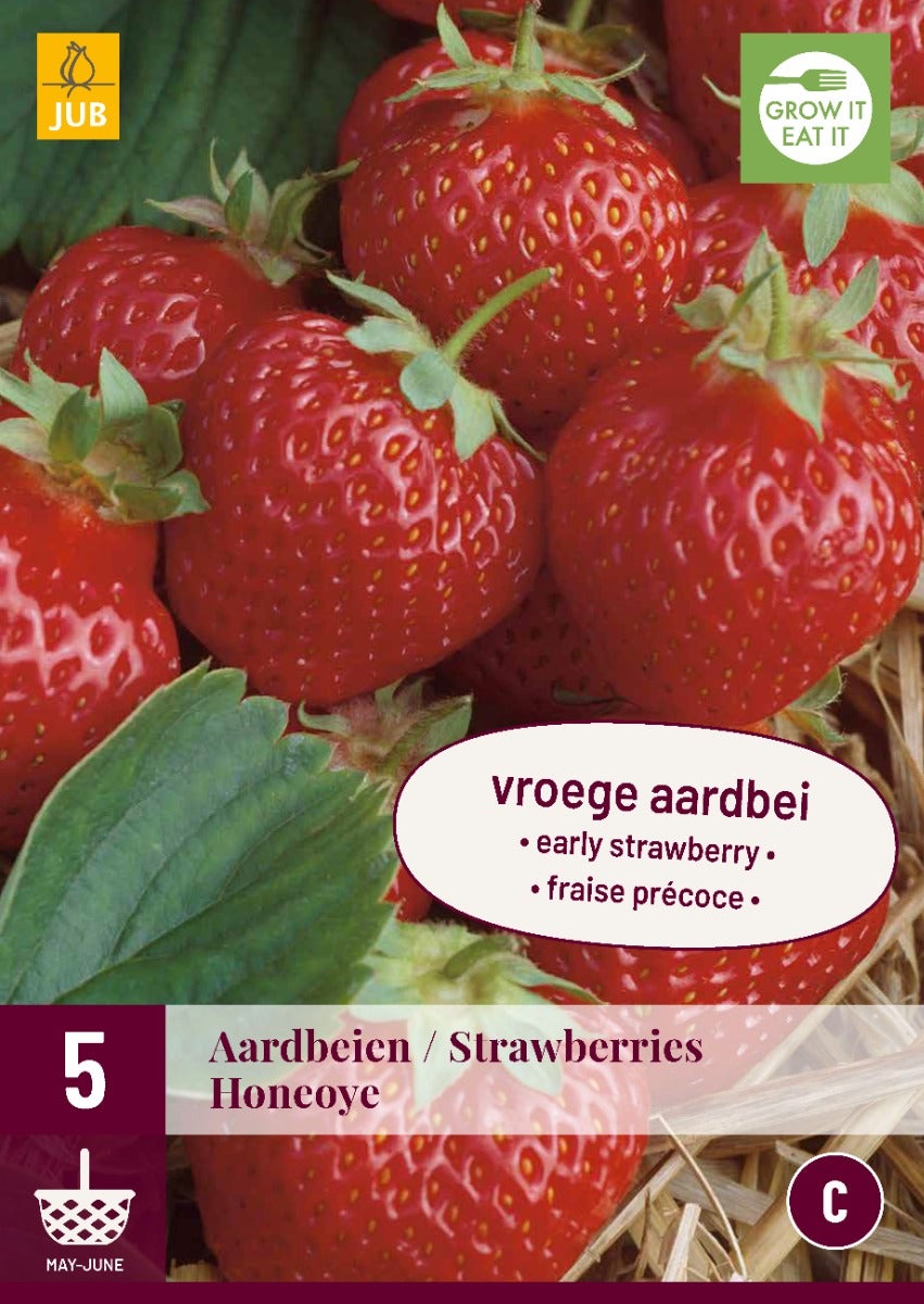 Fragaria Honeoye