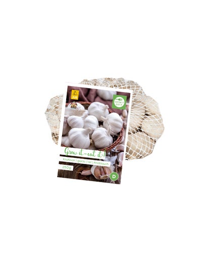 Knoflook Casablanca 250 gram