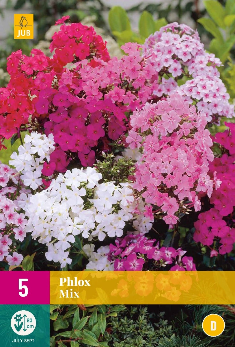 Phlox Mix