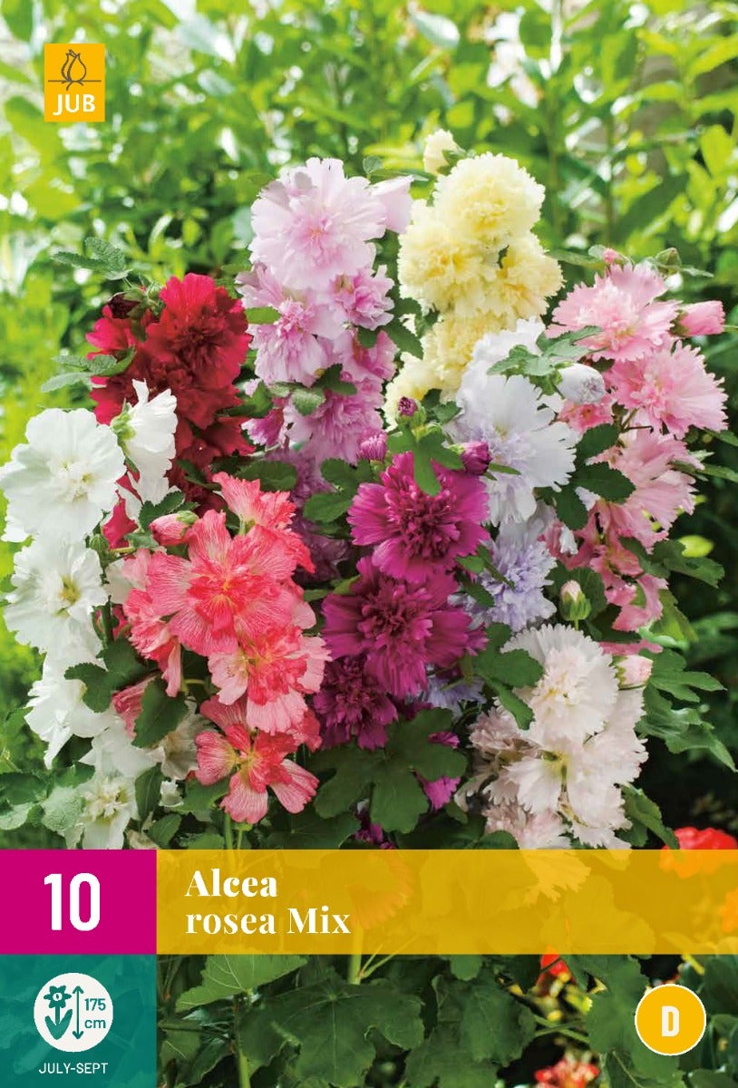 Alcea Rosea Mix