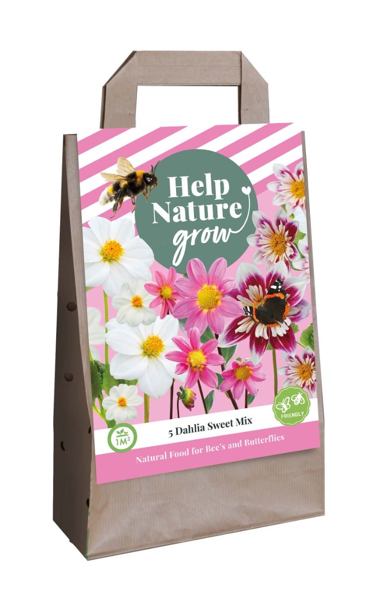Tas 5 Dahlias Sweet Mix