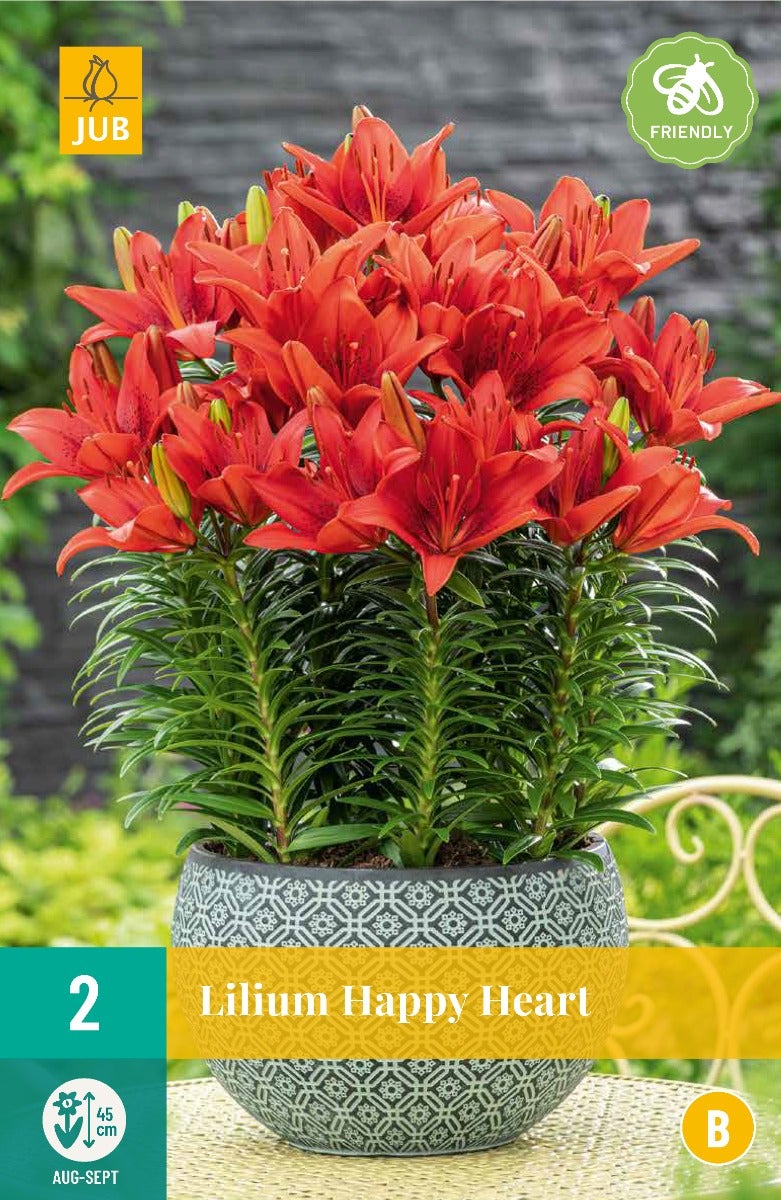Lilium Happy Heart