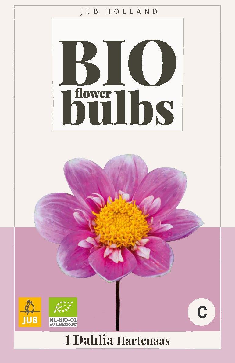 Bio Dahlia Hartenaas