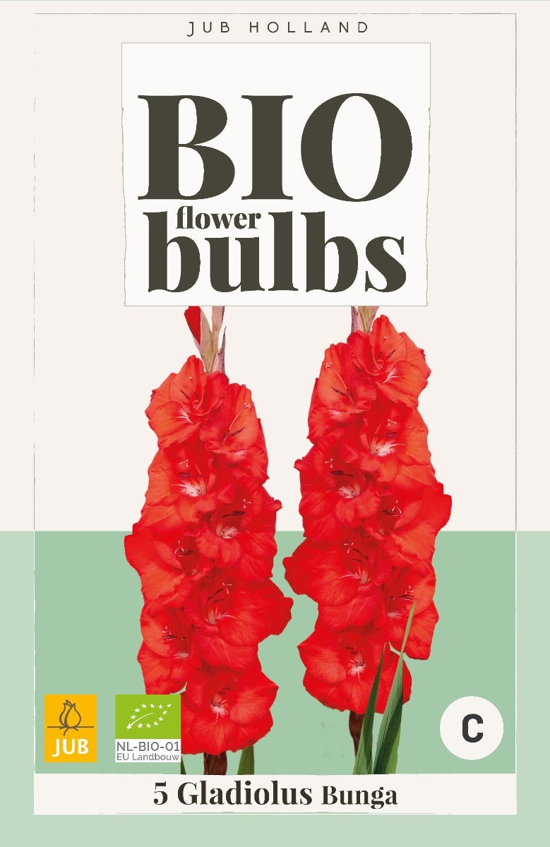 Bio Gladiolus Bunga