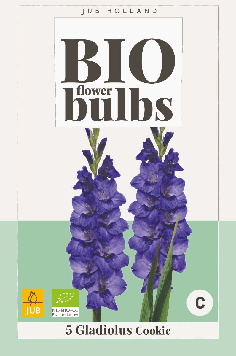 Bio Gladiolus Cookie