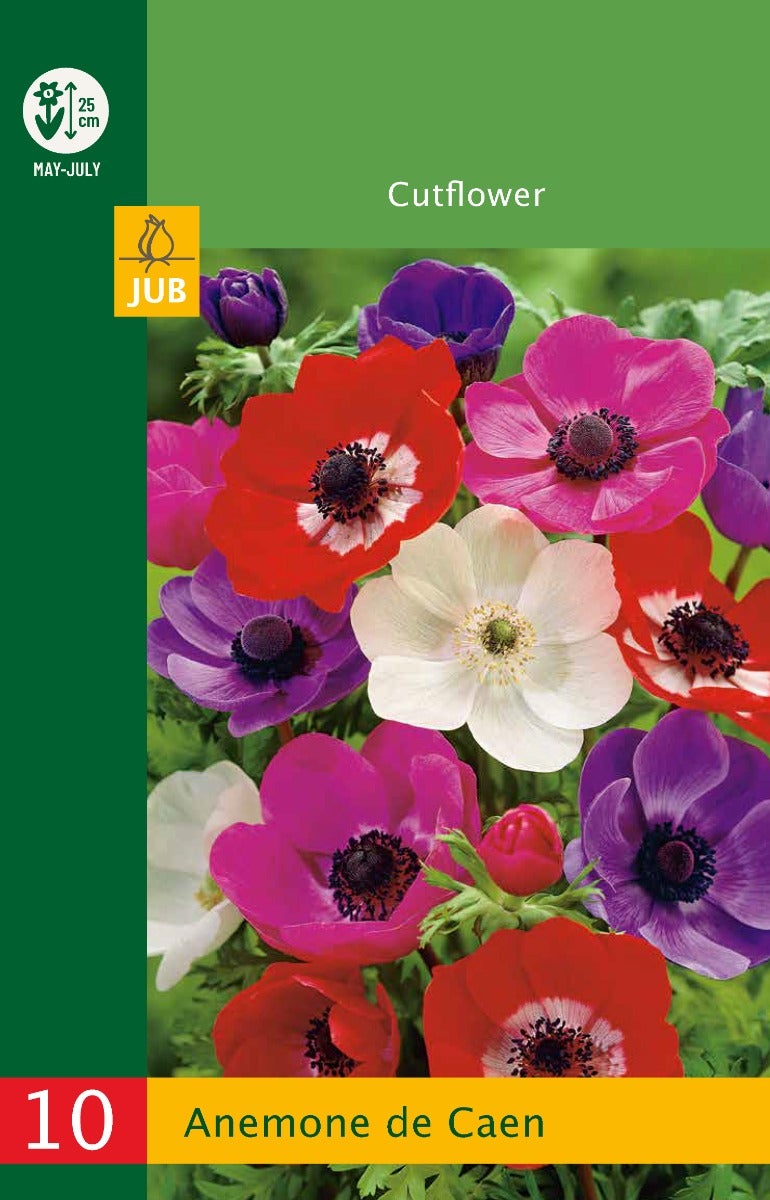 Low Budget Anemone De Caen Mix