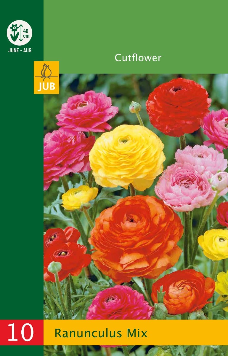 Low Budget Ranunculus Mix