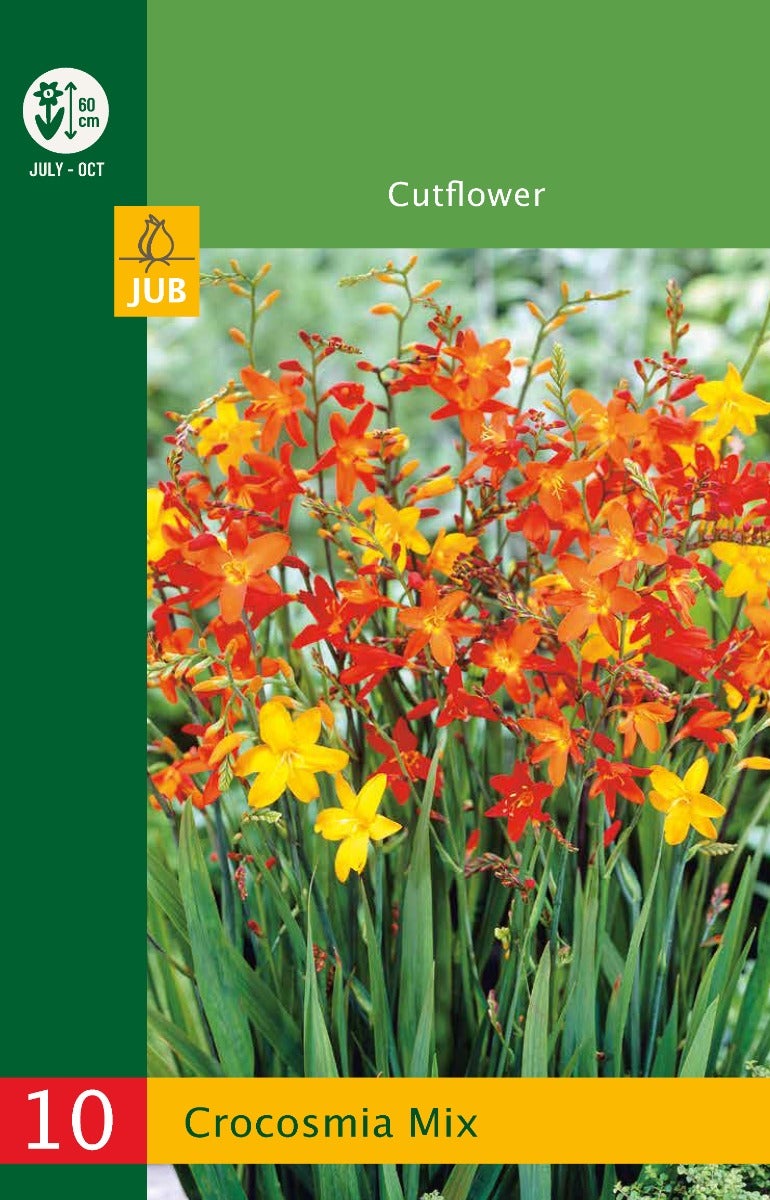 Low Budget Crocosmia Mix