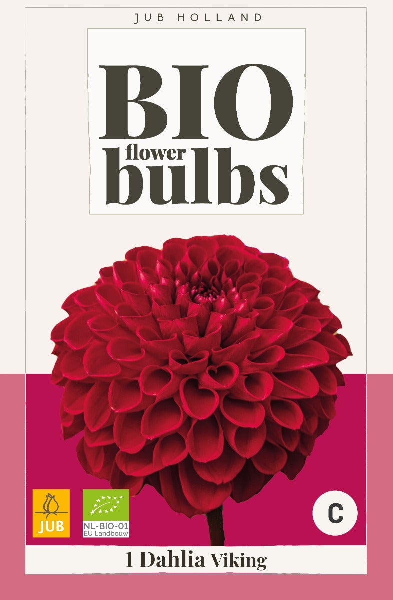 Bio Dahlia Viking