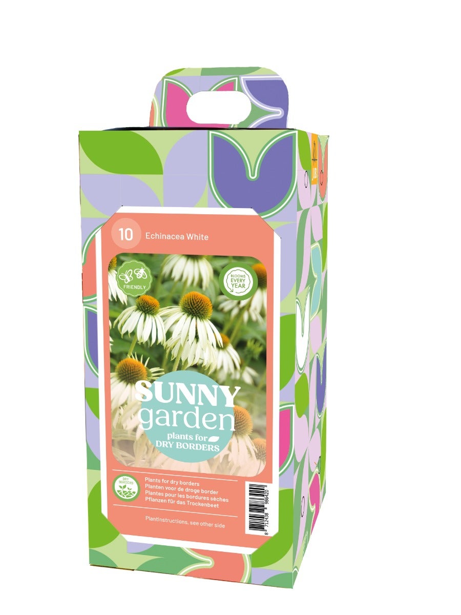 Doos Sunny Garden Plants 10 Echinacea Wit