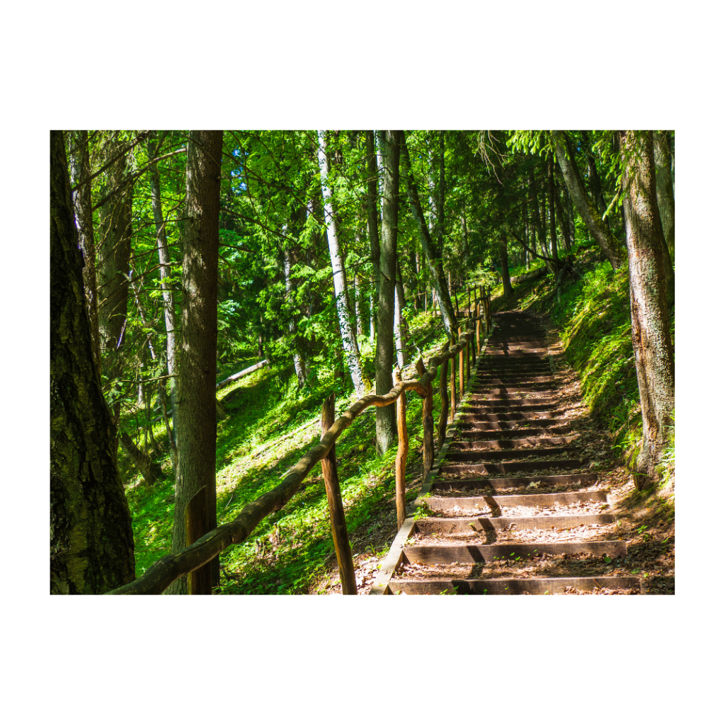 Anna's Collection Tuinposter Buitencanvas Houten Trap 58 x 78 cm