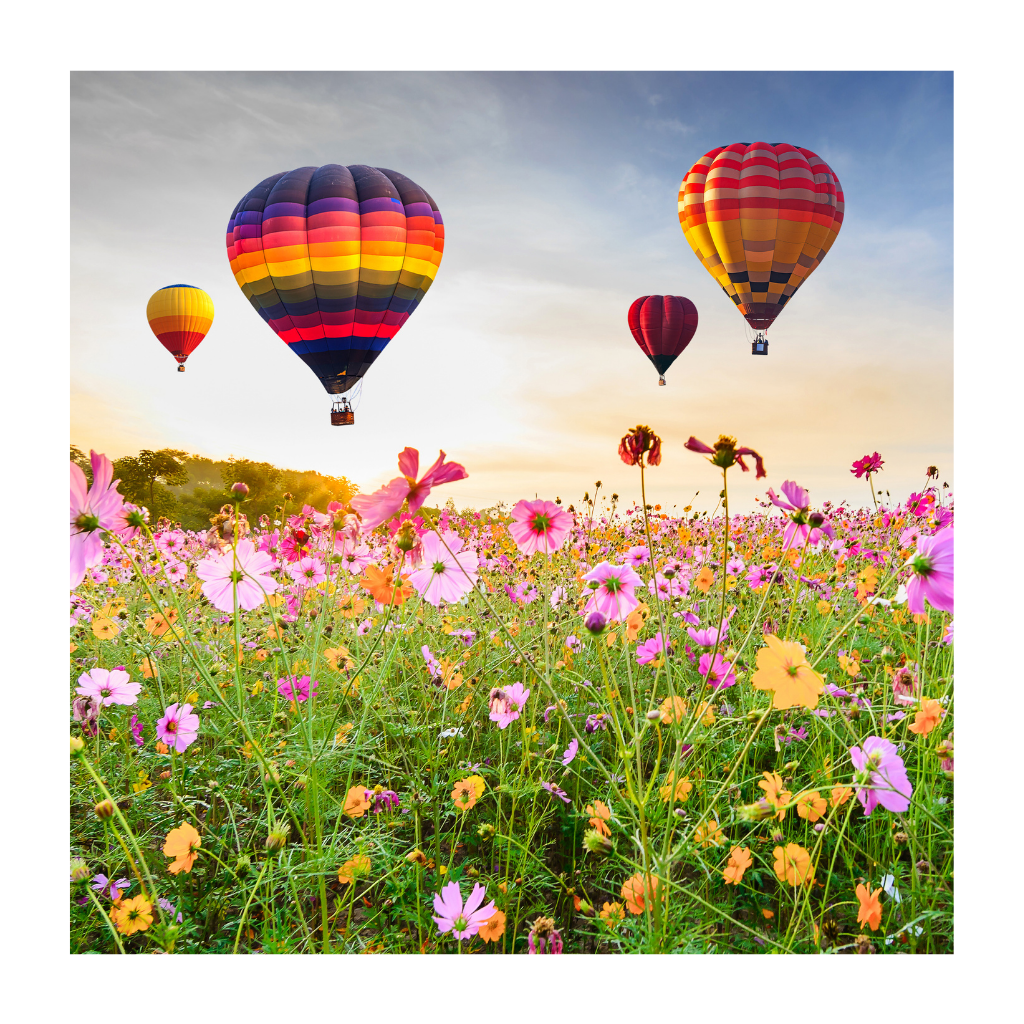 Anna's Collection Tuinposter Buitencanvas Luchtballonnen 78 x 78 cm